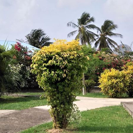 Appartement Rosbambou Les Pieds Dans L Eau Le Diamant Exterior photo